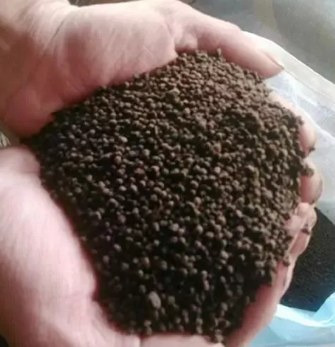 雞糞不腐熟可以用做有機肥嗎？(圖2)